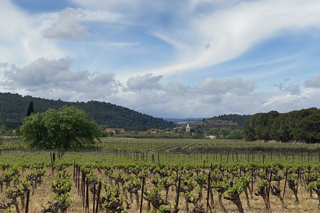 Remparts House 20 - Gallery