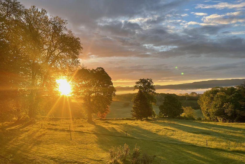 Château de Vaux Morvan B&B 16 - Gallery