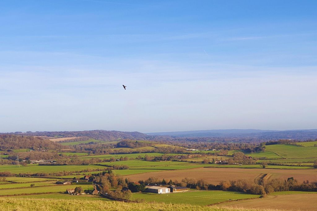 South Downs Eco Lodge 11 - Gallery
