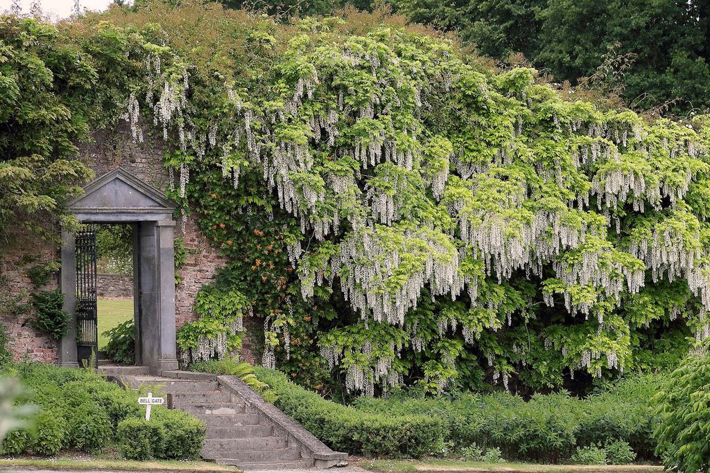 Whitfield Lodge at Mount Congreve Gardens 9 - Gallery