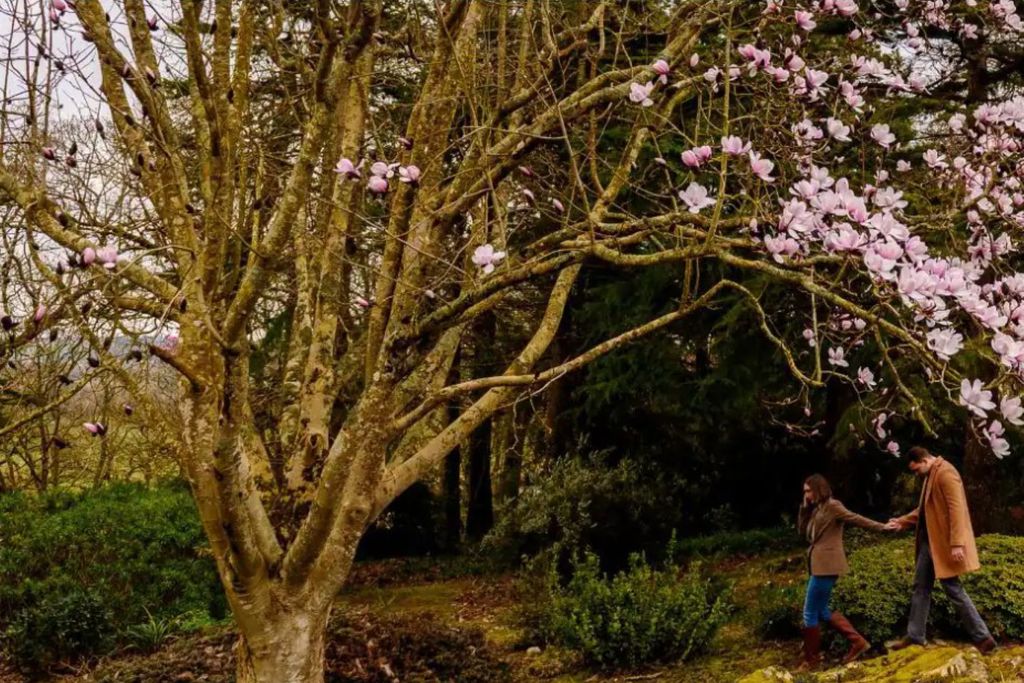 Whitfield Lodge at Mount Congreve Gardens 14 - Gallery