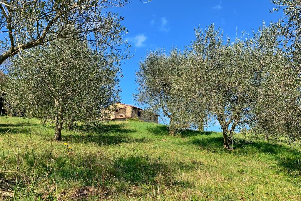 Rifugio Seremus 19 - Gallery