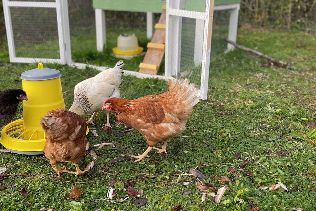 Les Mirabelles 17 - Gallery