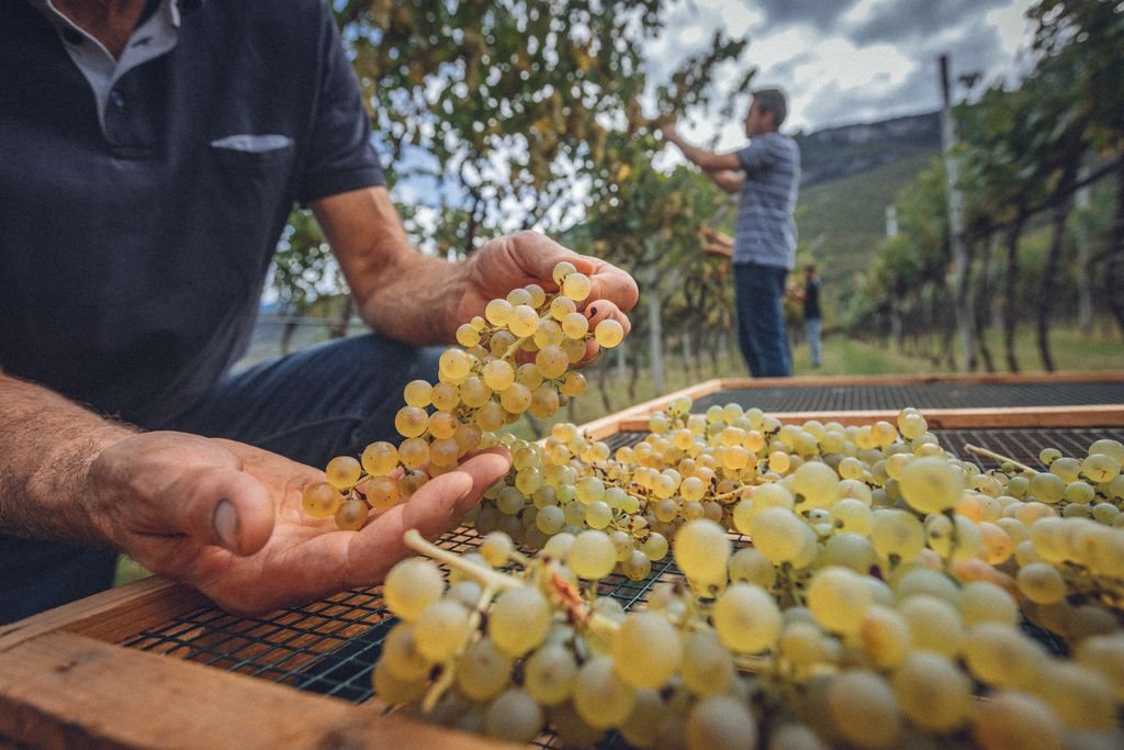 Agritur la Dolce Mela 15 - Gallery