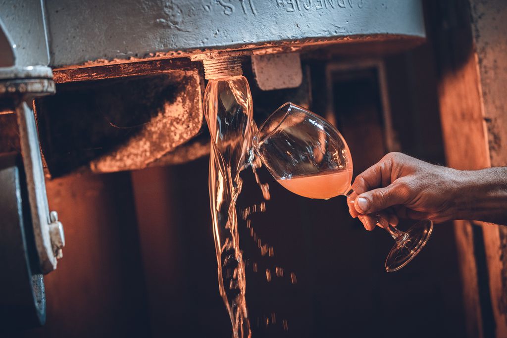 Agritur la Dolce Mela 16 - Gallery