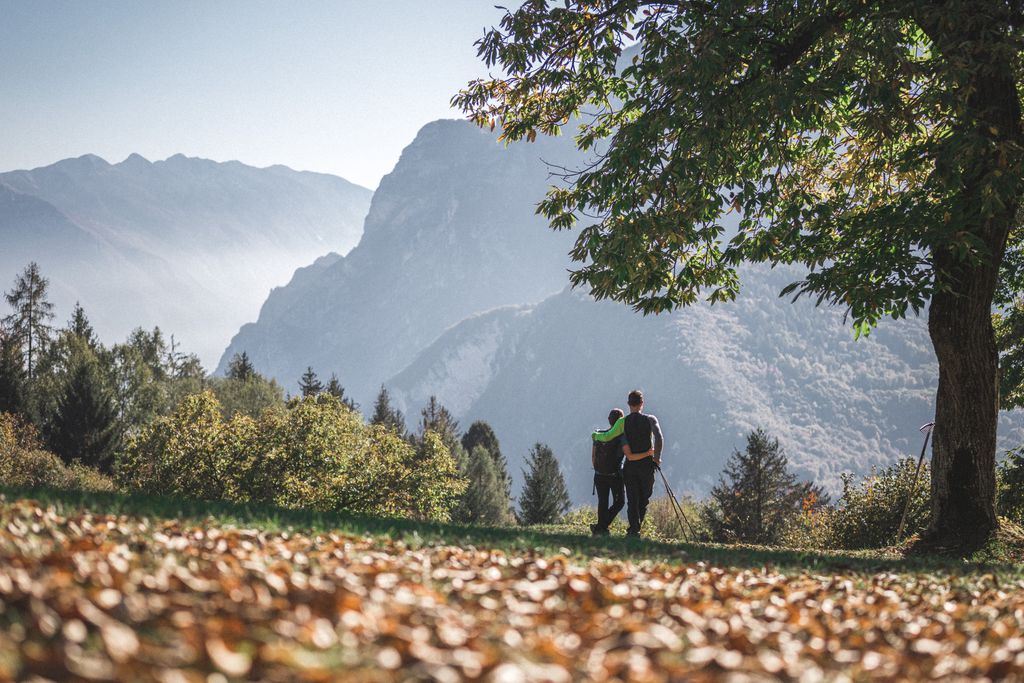 Agritur la Dolce Mela 18 - Gallery