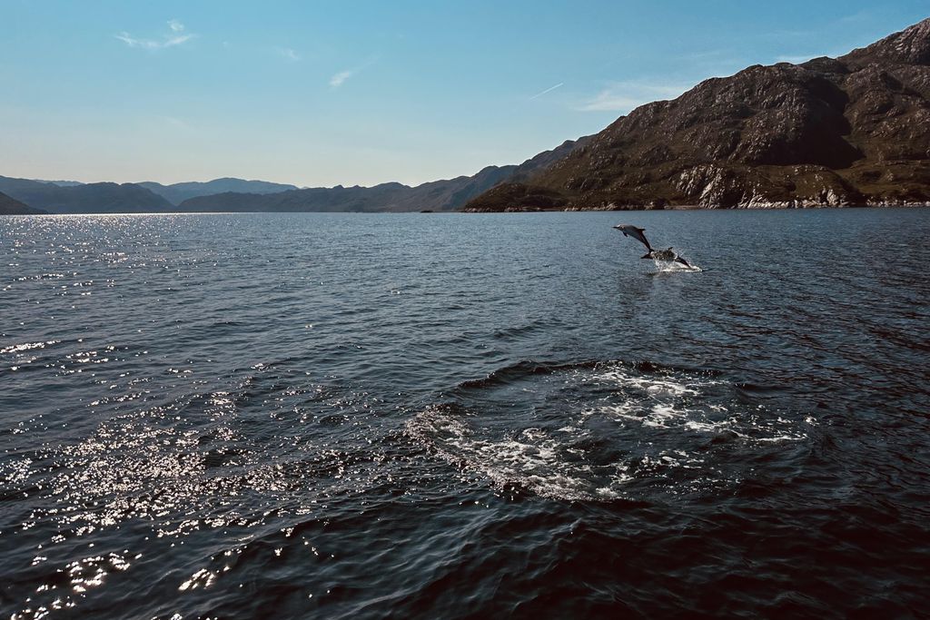 Doune Knoydart 9 - Gallery