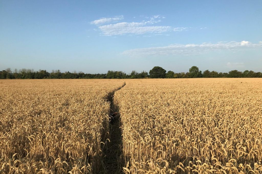 The Barn at Compton Marsh 17 - Gallery