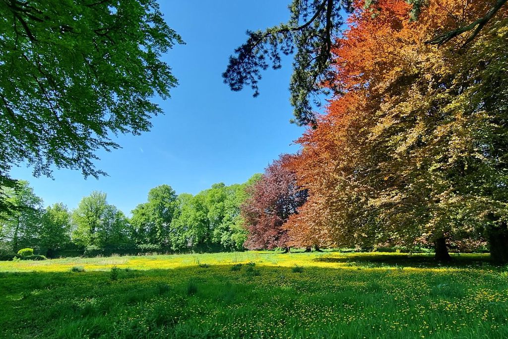 Domaine des Chanoines Blancs 19 - Gallery