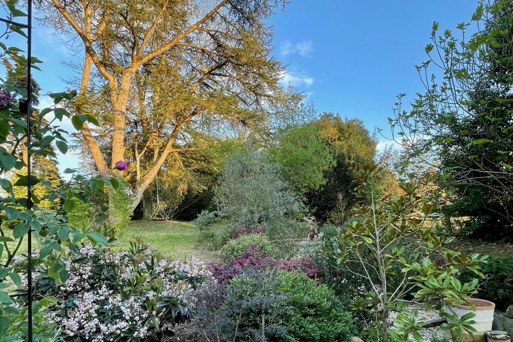 Maison Frères Leglise 13 - Gallery