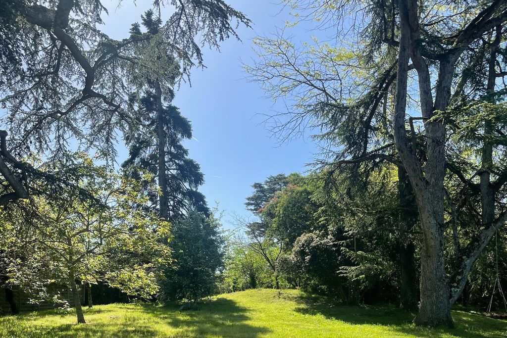 Maison Frères Leglise 18 - Gallery