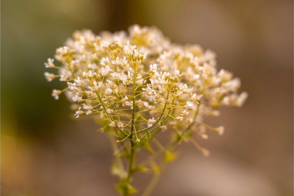Agriturismo Il Palagio di Panzano 19 - Gallery