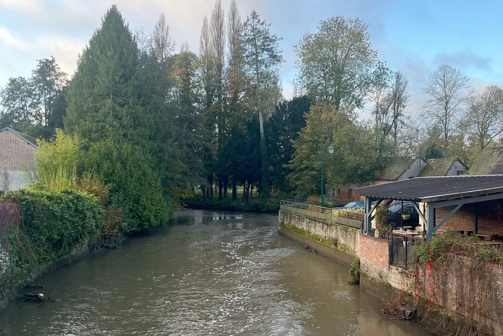 L'Evidence 20 - Gallery