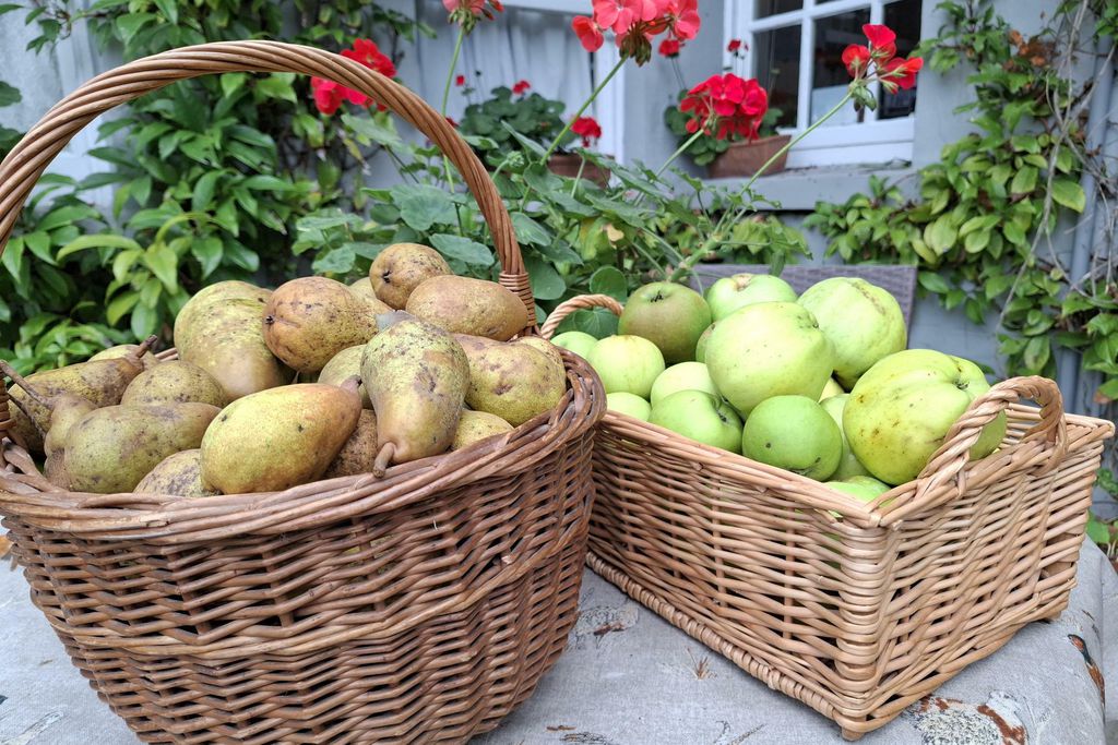 Dromore House Historic Country House 14 - Gallery