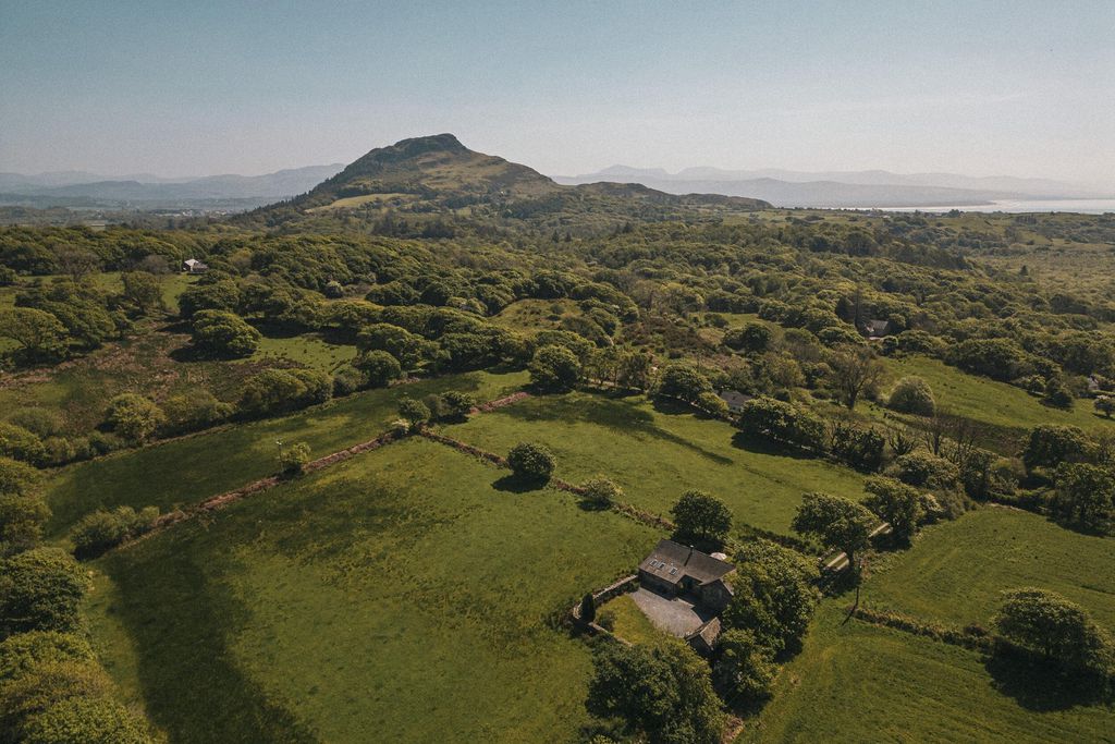 Hebog Bach 20 - Gallery