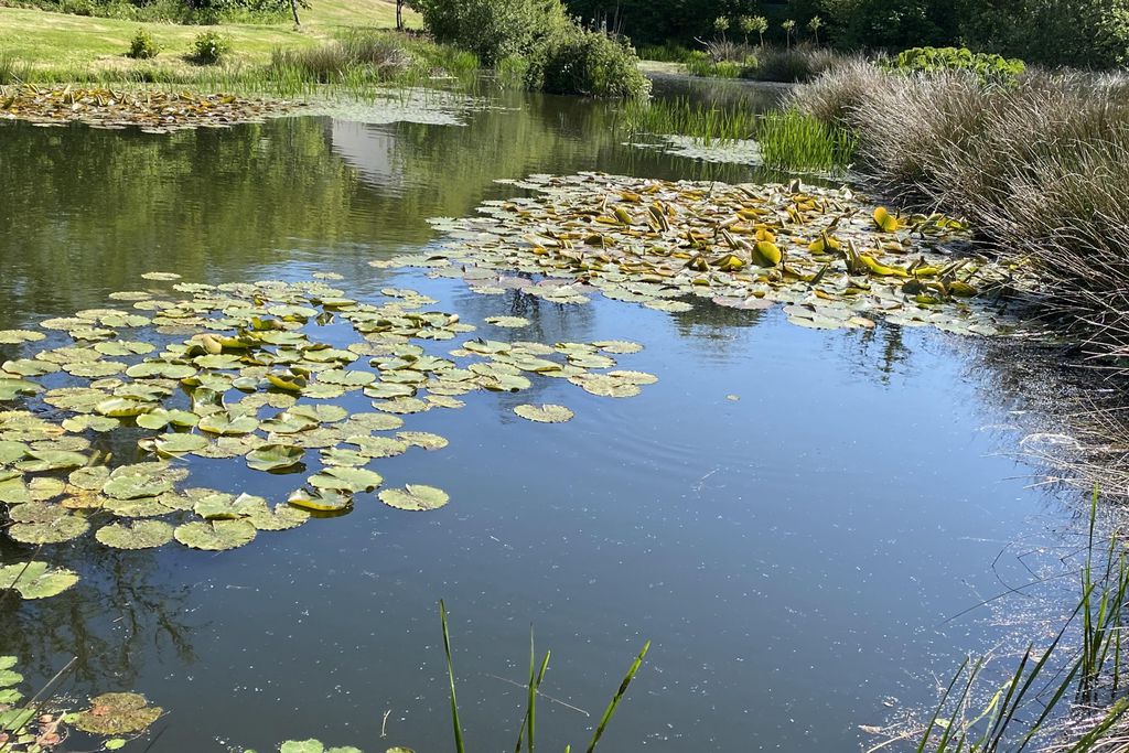 The Old Piggery, Kerswell Farm gallery 3 - Gallery