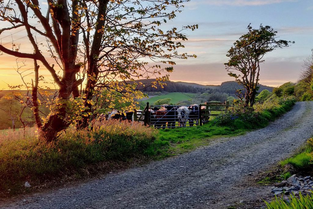 Dunskey Estate - Selkie's Haven 17 - Gallery