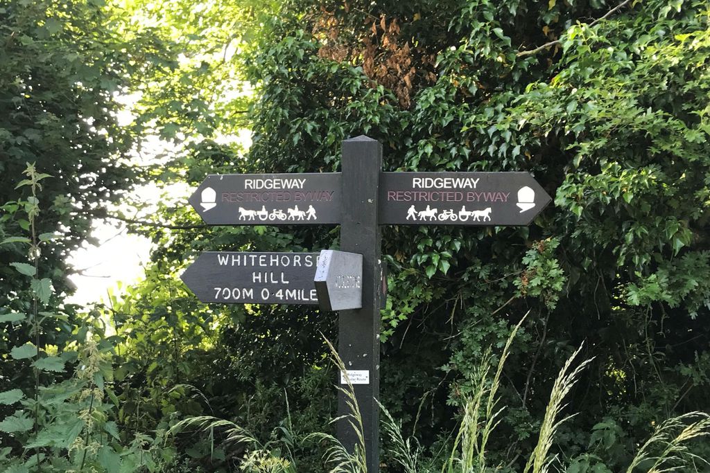 The Barn at Compton Marsh 19 - Gallery