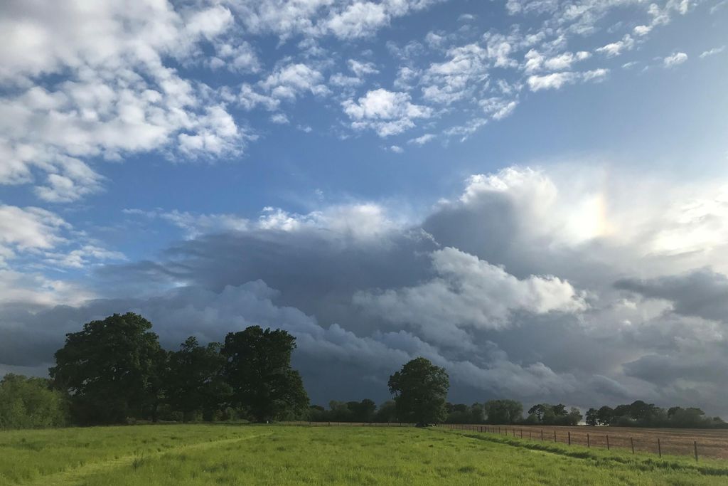 The Barn at Compton Marsh 18 - Gallery