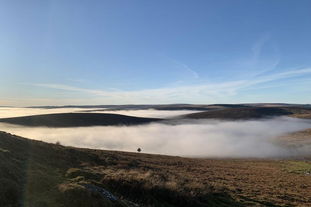 Little Wing at Ritson Barton Farm 2 - Gallery