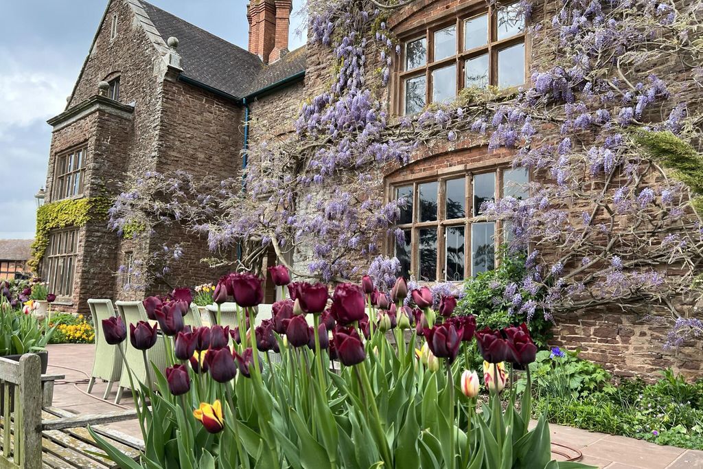 Uplands Guest House 15 - Gallery