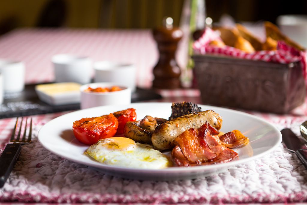 The Olive Branch 8 - Gallery