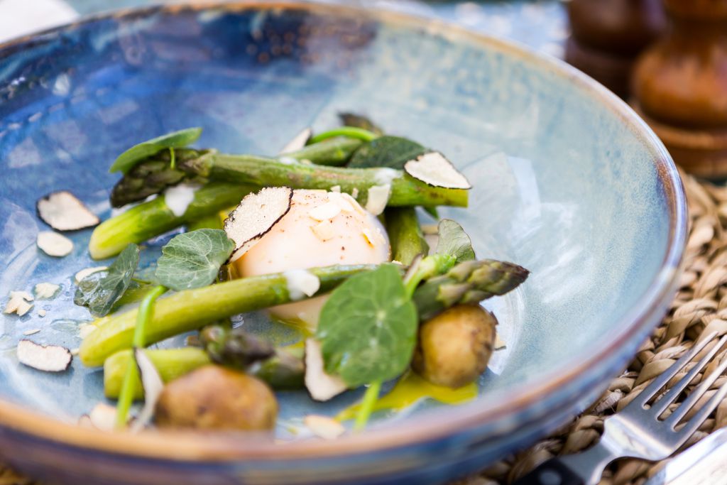 The Olive Branch 9 - Gallery