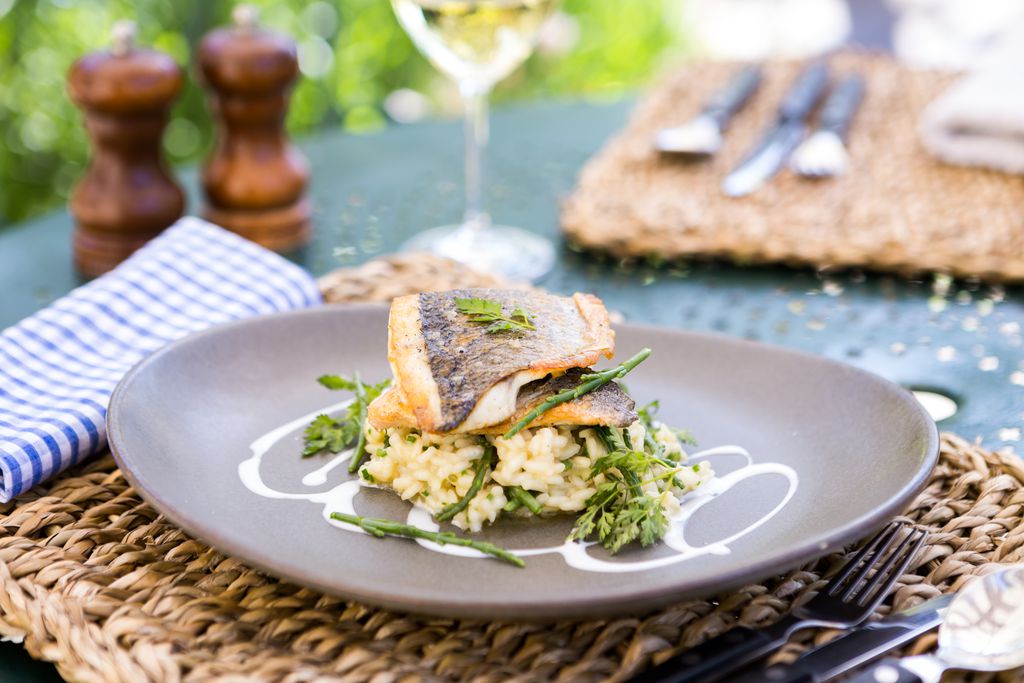 The Olive Branch 13 - Gallery