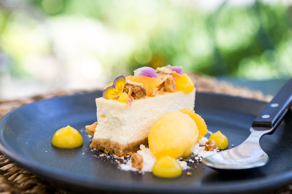 The Olive Branch 10 - Gallery