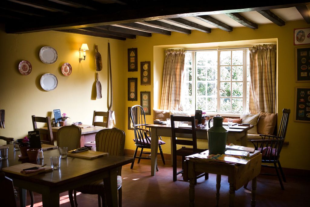 The Olive Branch 11 - Gallery