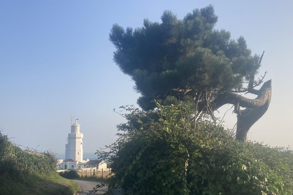 The Stable at Buddle Place 13 - Gallery