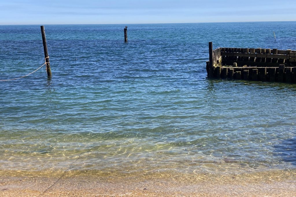 The Stable at Buddle Place 15 - Gallery