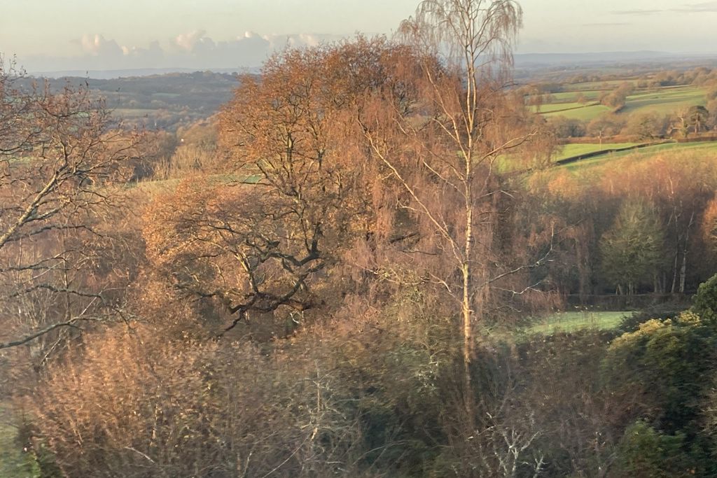 The Cottage in the Garden 3 - Gallery