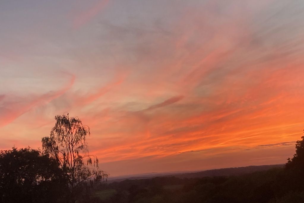 The Cottage in the Garden 20 - Gallery