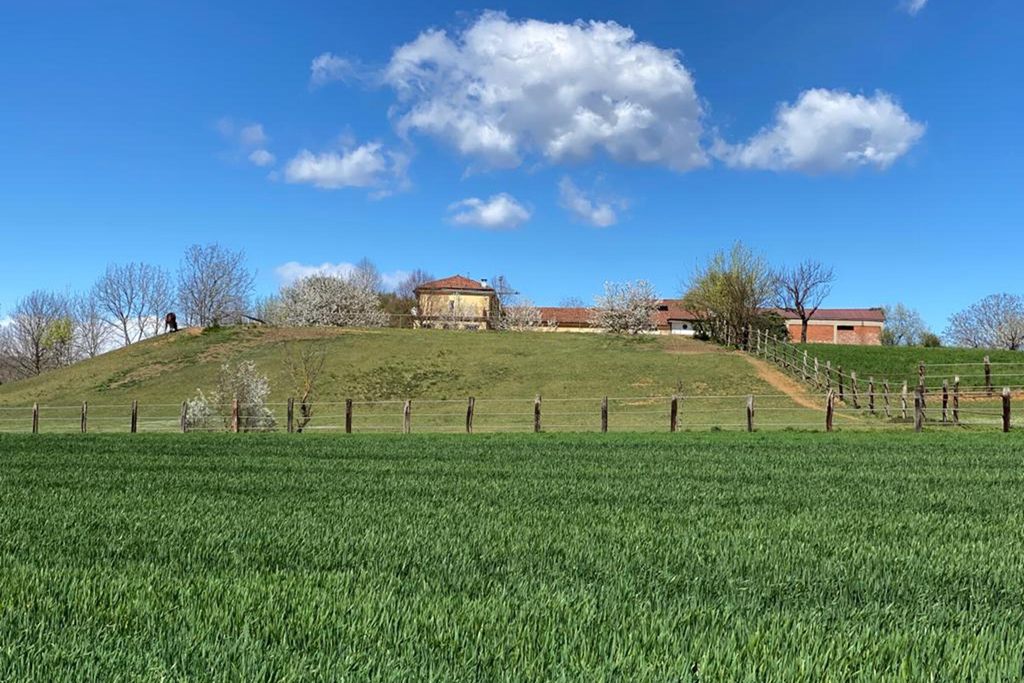 La Giardina Guest House 18 - Gallery