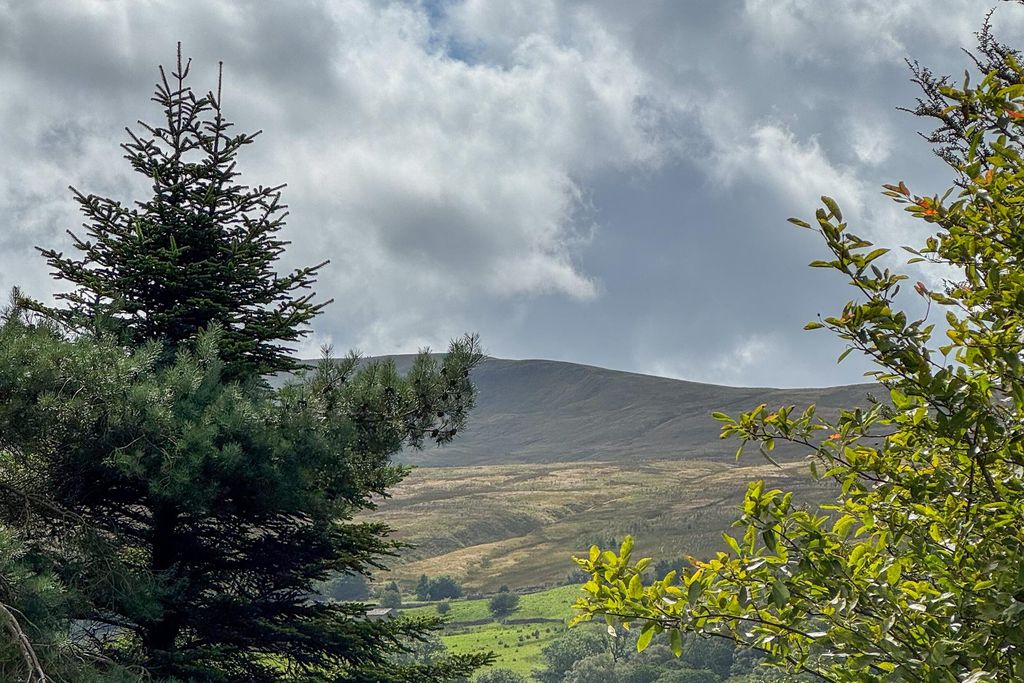 Gatehouse 6 - Gallery