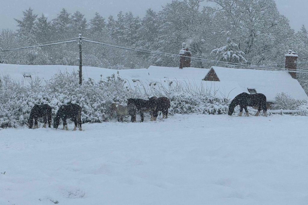 Middle Farm & Cottages: The Barn 5 - Gallery