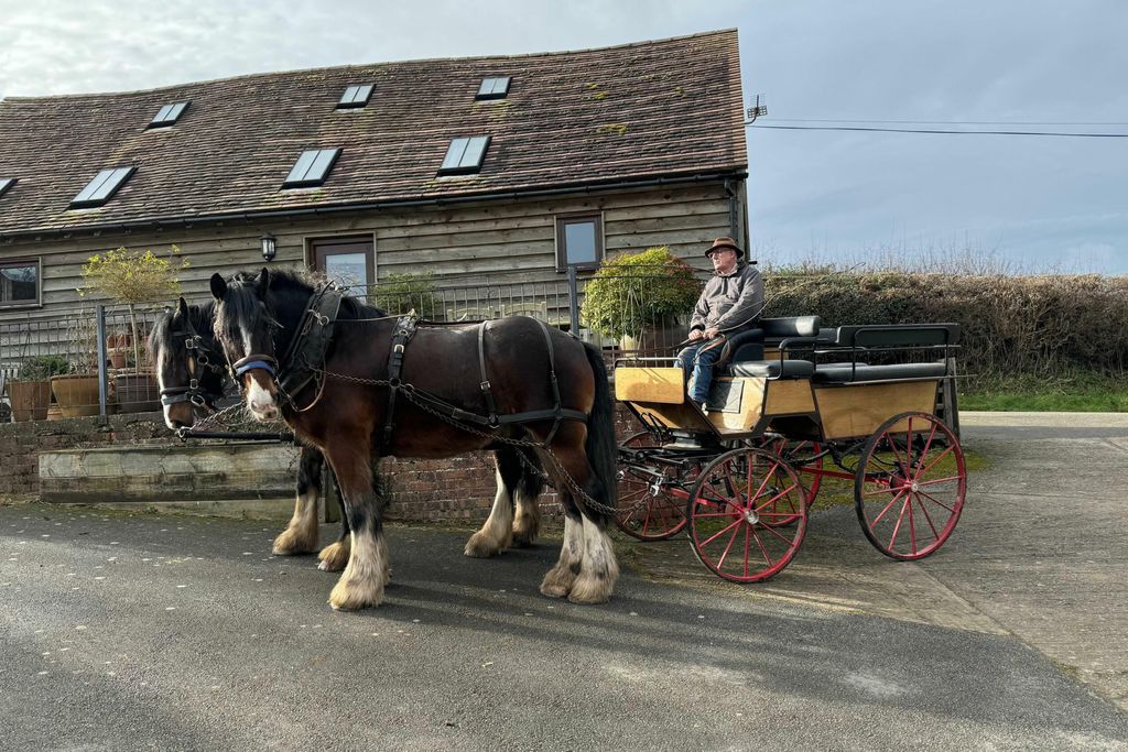 Middle Farm & Cottages: The Barn 7 - Gallery