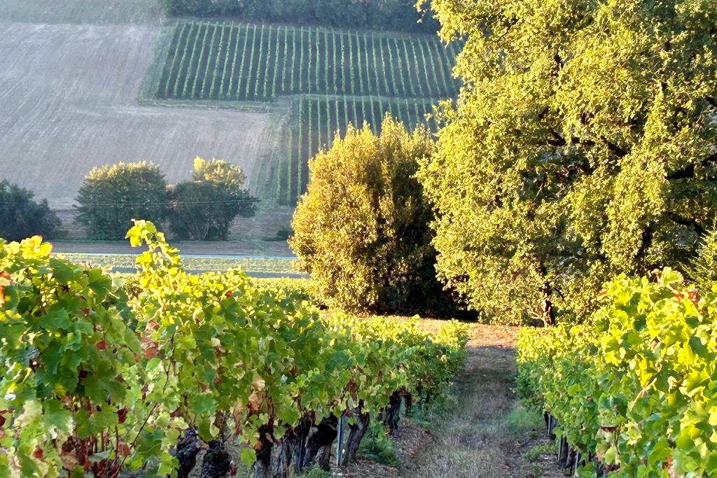 Le Domaine de Perches 20 - Gallery