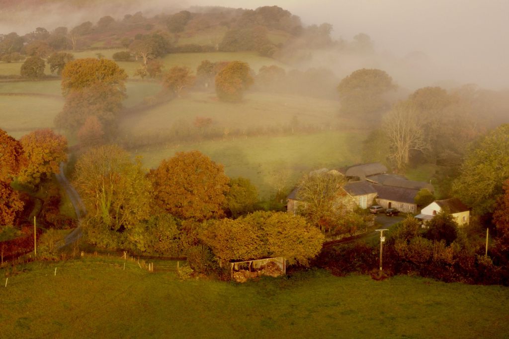 New York 3 - Gallery