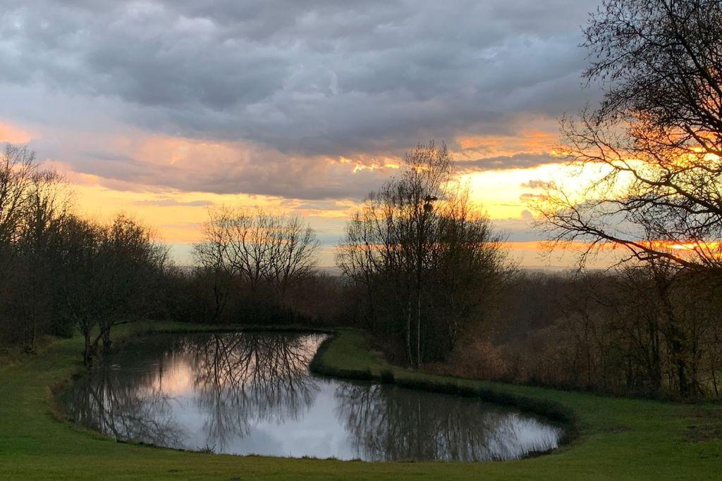 Judah gallery 16 - Gallery