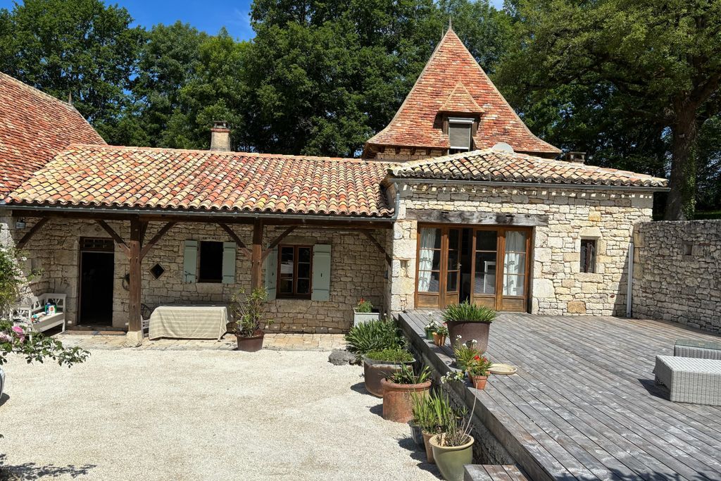 Judah gallery 17 - Gallery