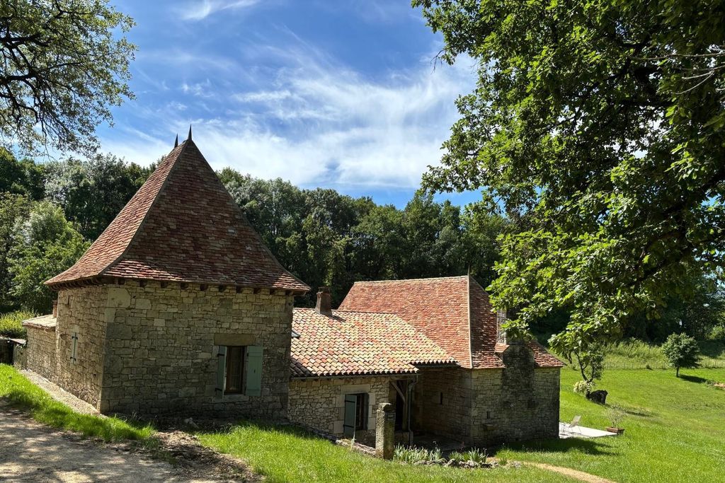 Judah gallery 17 - Gallery