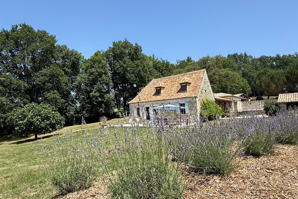 Judah gallery 18 - Gallery