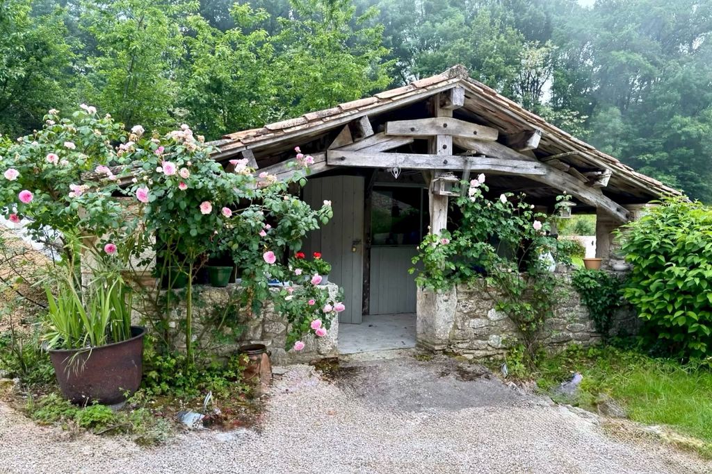 Judah gallery 9 - Gallery