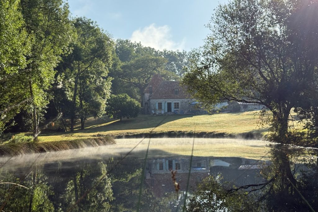 Judah gallery 15 - Gallery