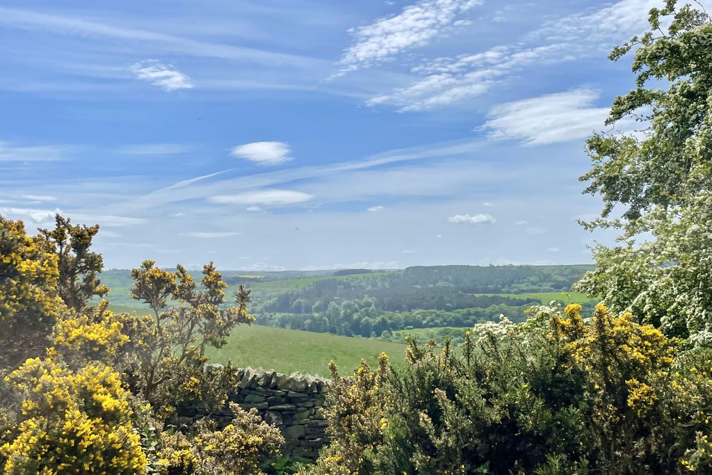 The Bothy 16 - Gallery