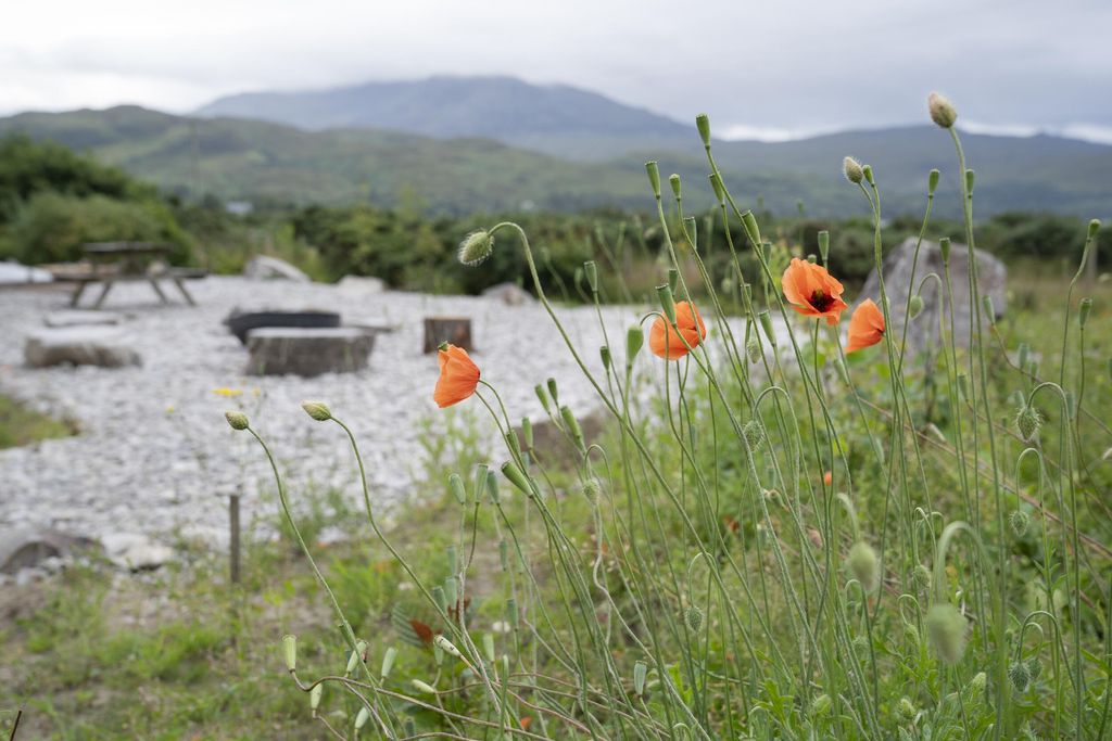 Taigh Whin 15 - Gallery