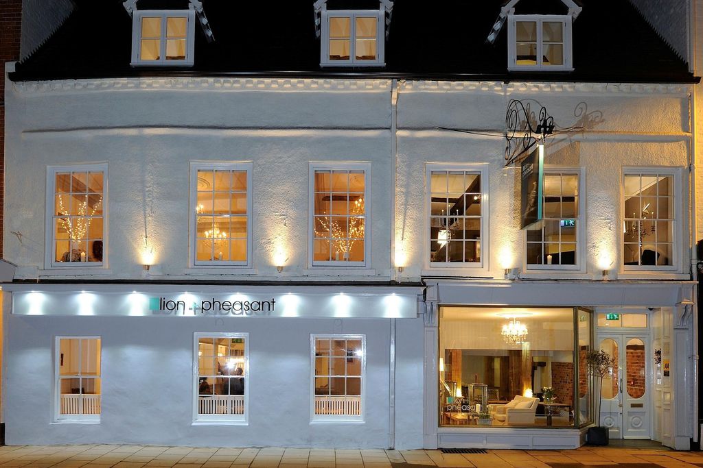 The Lion & Pheasant 1 - Gallery