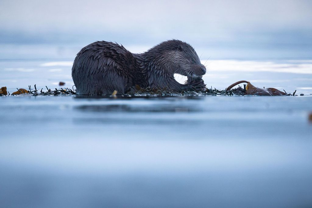 Curved Stone House 16 - Gallery